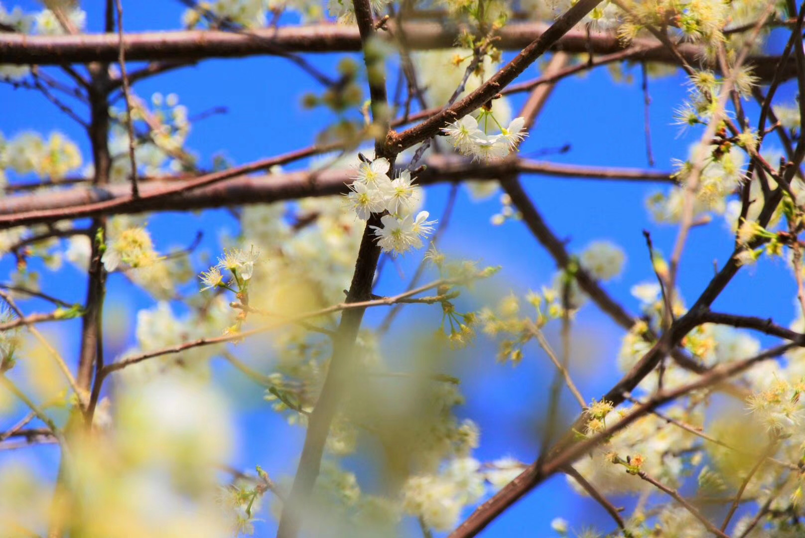 麗江戶外拓展訓練基地