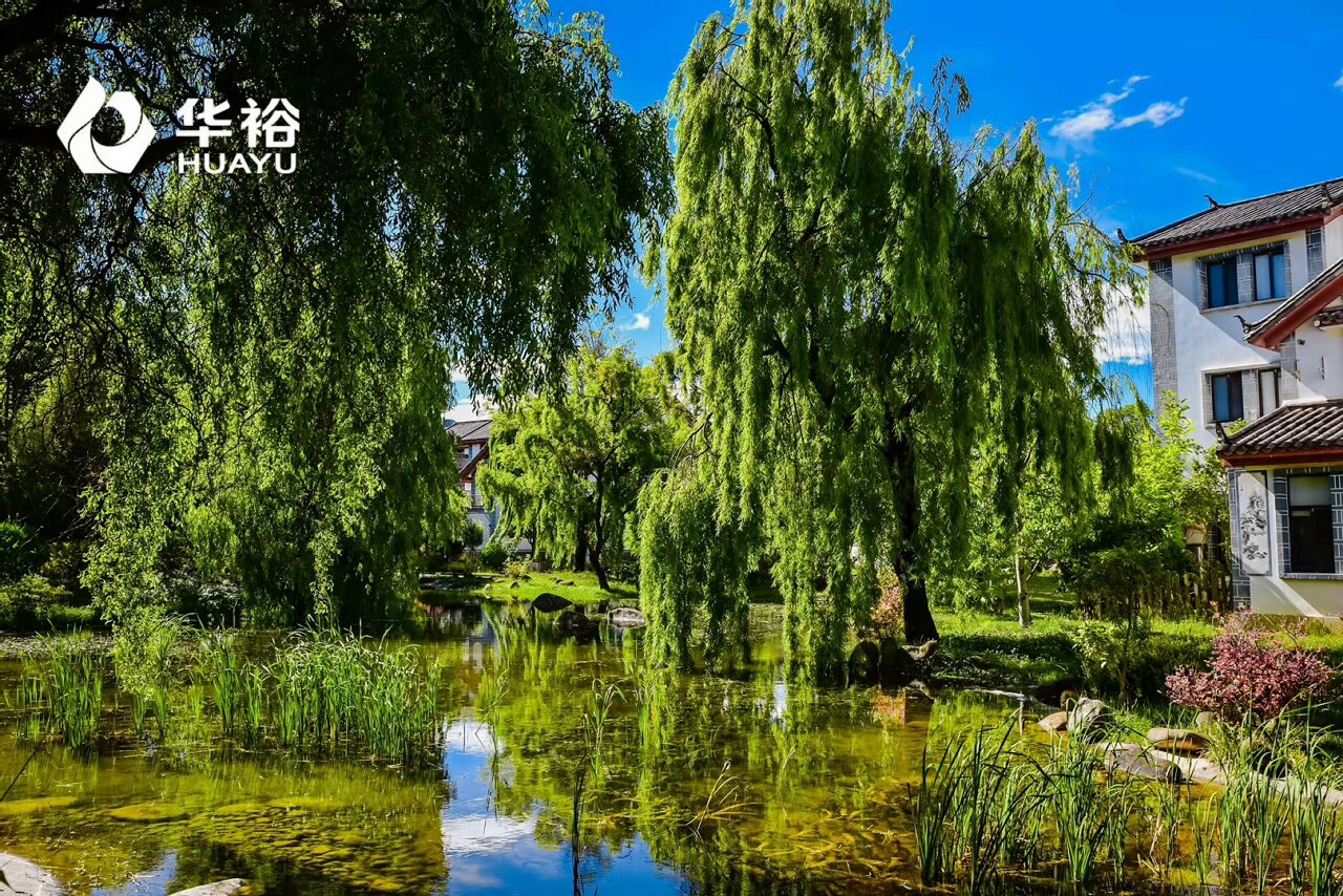 麗江官房酒店會議活動