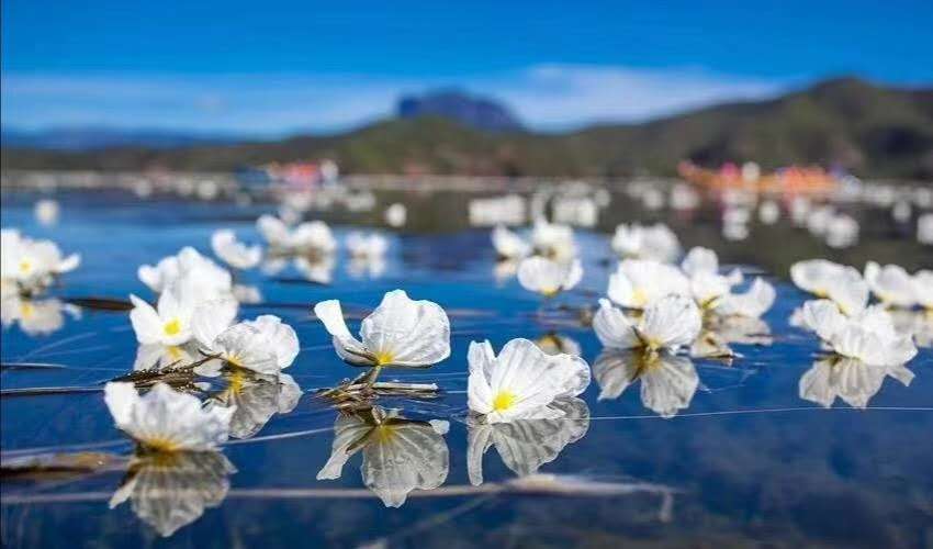 麗江研學(xué)，我們所要了解的研學(xué)知識(shí)