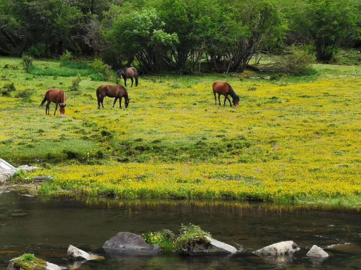 研學(xué)的重要意義，對(duì)研學(xué)的各項(xiàng)探索都怎么進(jìn)行的