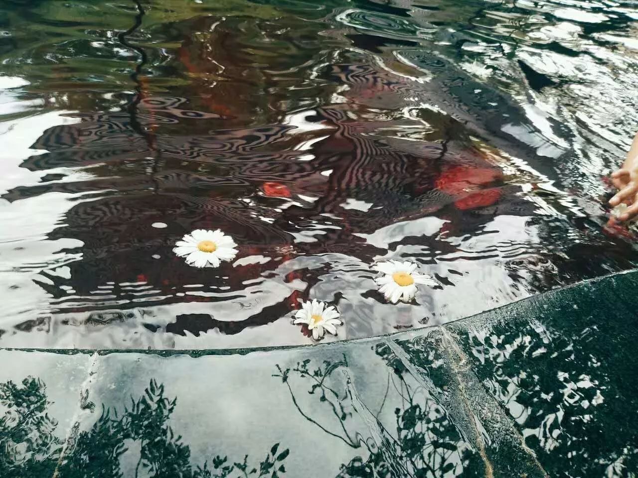 麗江酒店 麗江酒店