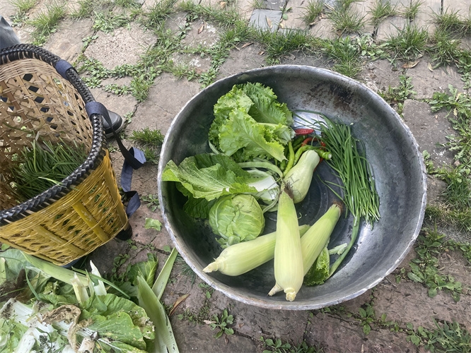 麗江納西生活體驗(yàn)團(tuán)建