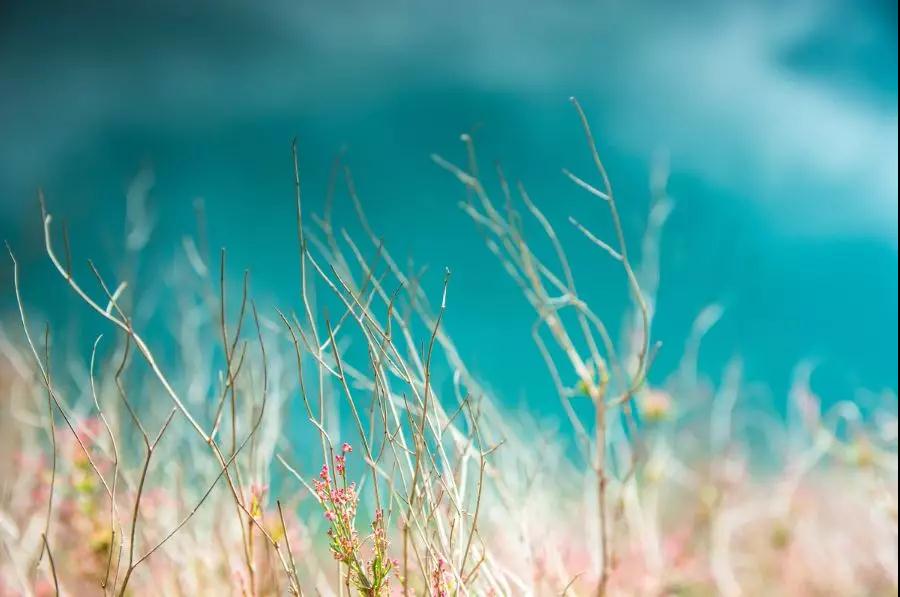 瀘沽湖，為什么讓你一去再去?   麗江傳媒公司