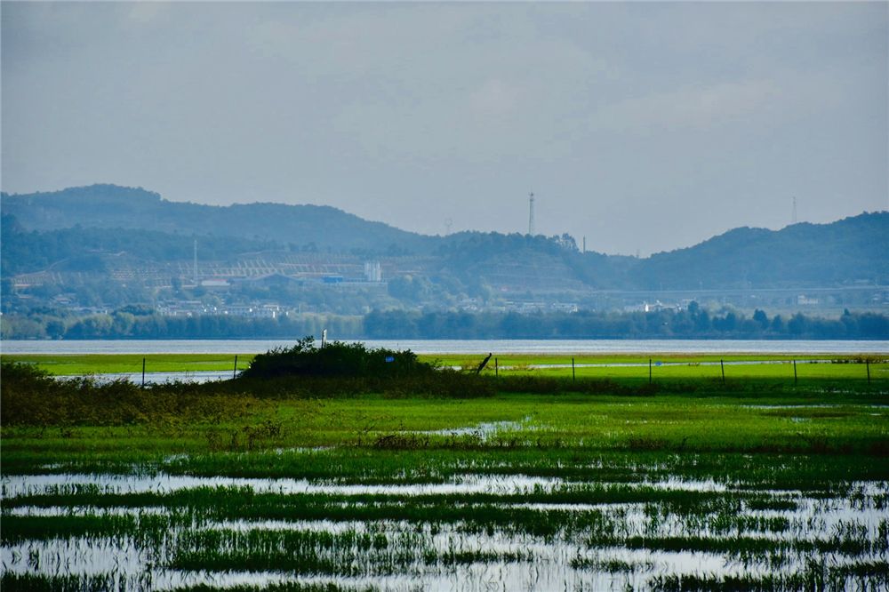 你能想到的所有詩情畫意，都藏在麗江深秋的拉市海里......也是麗江宴會策劃的首選之地