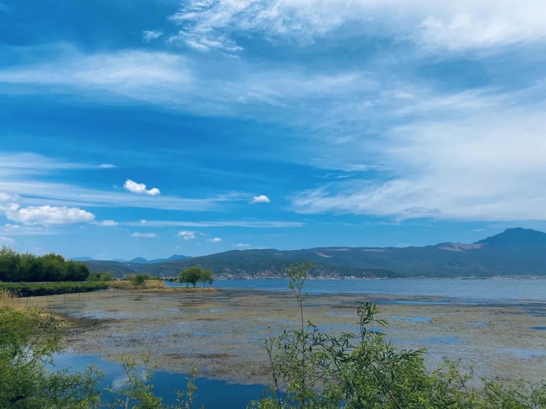 麗江拉市海最美季節(jié)！放眼望去宛如畫(huà)作~    麗江旅游攻略