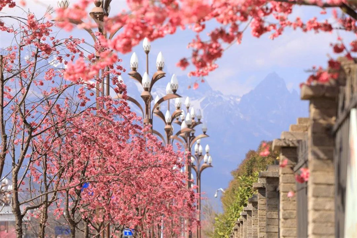 麗江旅游攻略：麗江到底是什么星座的？