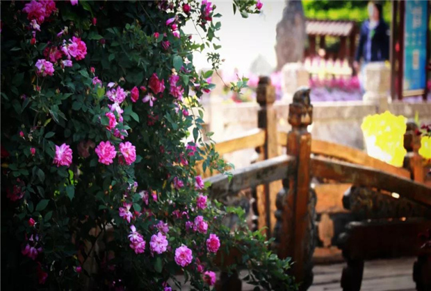 這里是麗江，現(xiàn)實中的“童話之境”