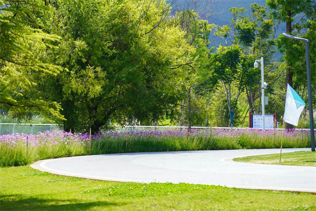 云南旅游,云南旅行社,云南團(tuán)建公司,云南策劃公司,云南會(huì)議會(huì)展公司,云南活動(dòng)執(zhí)行公司,麗江旅游 ,麗江旅行社,麗江團(tuán)建公司,麗江策劃公司,麗江會(huì)議執(zhí)行公司：20度的麗江，藏著夏日的清涼密碼